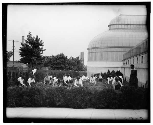 Garden class from Pratt Institute.
1915