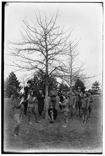 Tree Study.
Group of boy scouts with Mr.. Stoll under white oak.