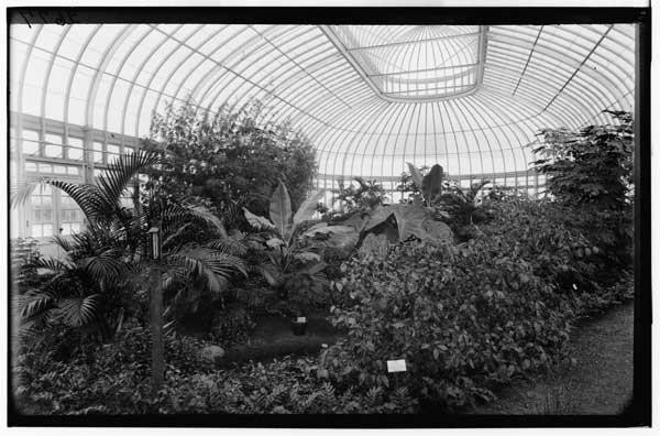 Palm House.
Interior of