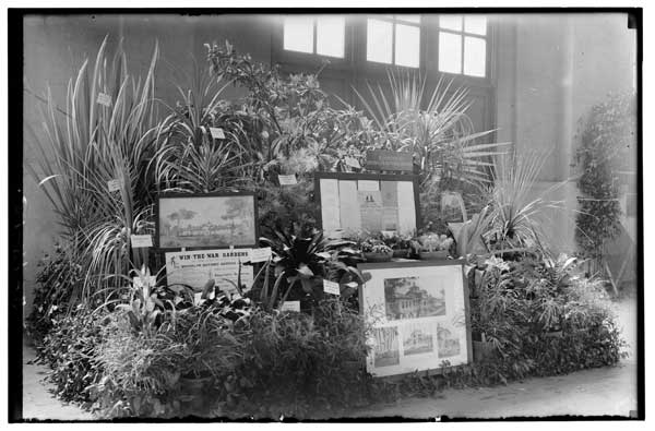 Flower Show Exhibit of BBG 1918.