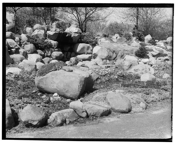 Rock Garden.
View showing flat portion in center.