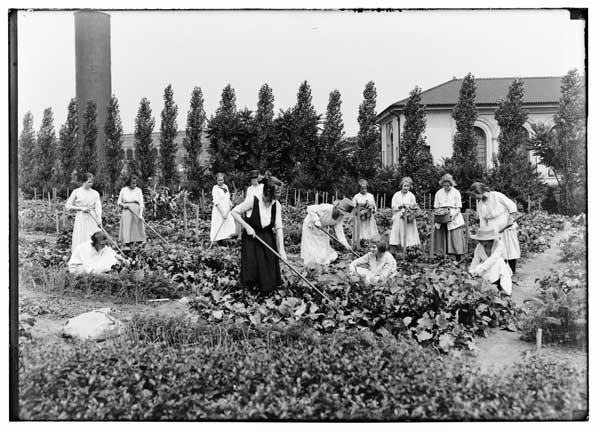 Brooklyn Training School for Girls.
Unit showing team work in Children's Gardens, 1920.