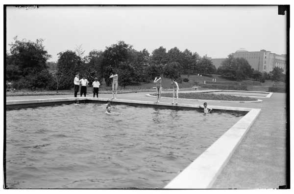 Lily pools, new-appropriated by bathers.