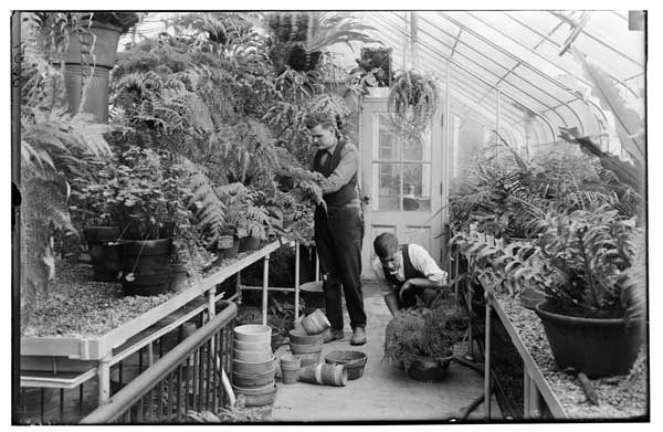 Soldier (ex) students repotting ferns.