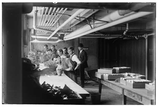 Soldier (ex) students repotting plants in potting room-1921.