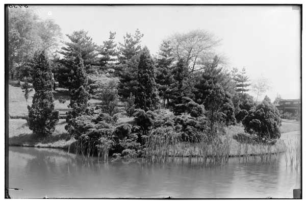 Japanese Garden, N.W. View.  Evergreens, cat-tails and Torii.