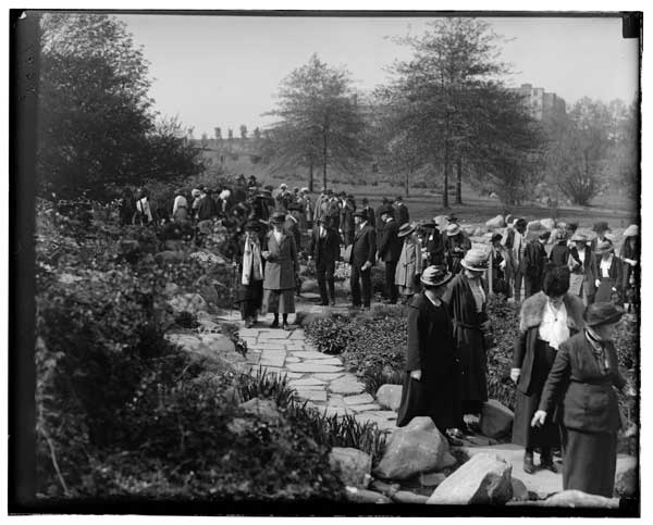 Spring Inspection, 1922.  In the Rock Garden.