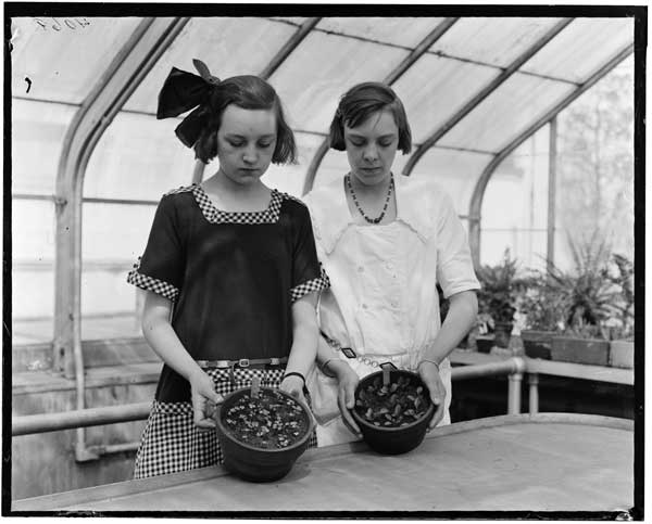 Transplanting.  Two girls with pans of transplanted seedlings, 1922.