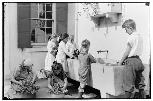 Washing and measuring vegetables as gathered.