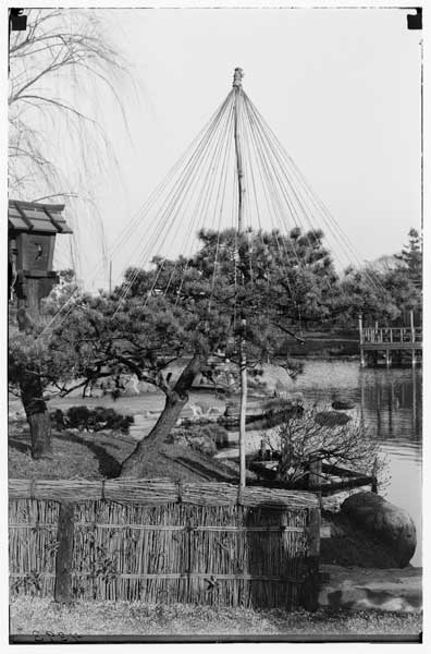 Japanese Garden.
Yuki-yoki in Japanese Garden.  1922.