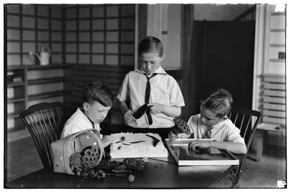 Nature study.
Three boys in children's room classifying fruits.  1923.