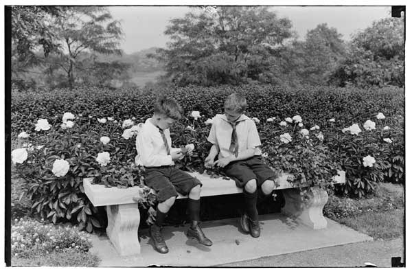 Plant Study.
Two boys on Roman Seat comparing leaves.