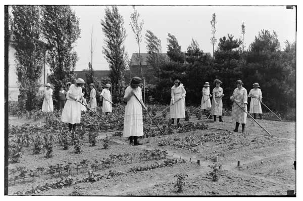 Cultivating.
11 girls in Children's Garden.  Late June, 1923.