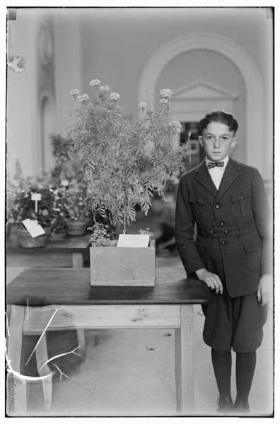 Garden Exhibit, 1924.  
1st prize-Marigold-Special plant.