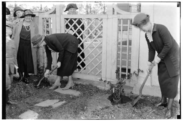 Columbia University Dames at Children's Garden planting rose bushes, 1924.