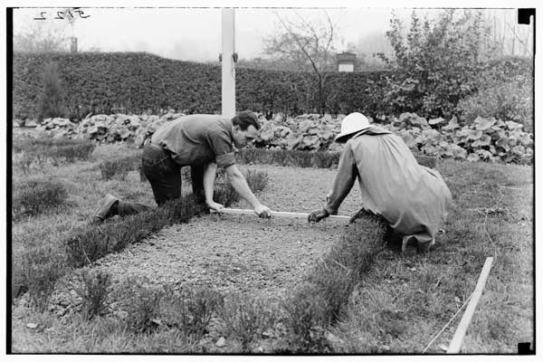 Bulb-planting.
Marking the bed for tulips, Children's House, 1924.