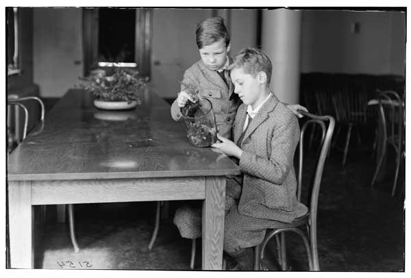 Fernery.  
Two boys planting-1924.
