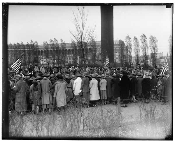 Ulmus americana.
Planting of by Girl Scouts, 1925.