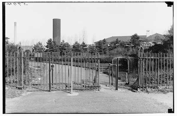 Brooklyn Botanic Garden.
South Gate on Flatbush Ave. 1925.