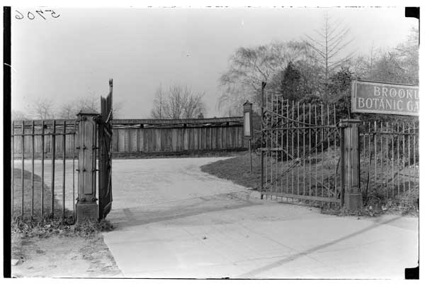 Brooklyn Botanic Garden North Gate on Washington Ave. 1925.