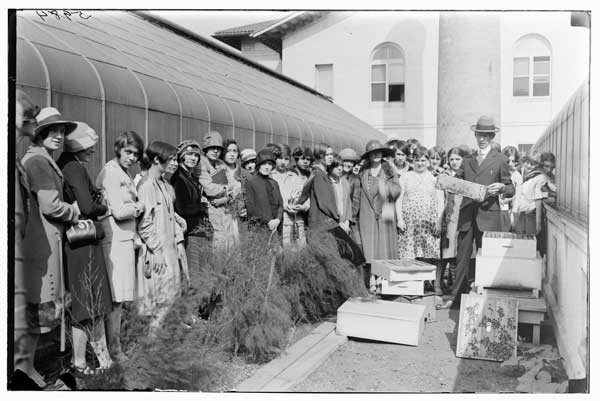Girls Commercial H.S. 
Bee Hive demonstration.  F. Stoll in charge, 1926.