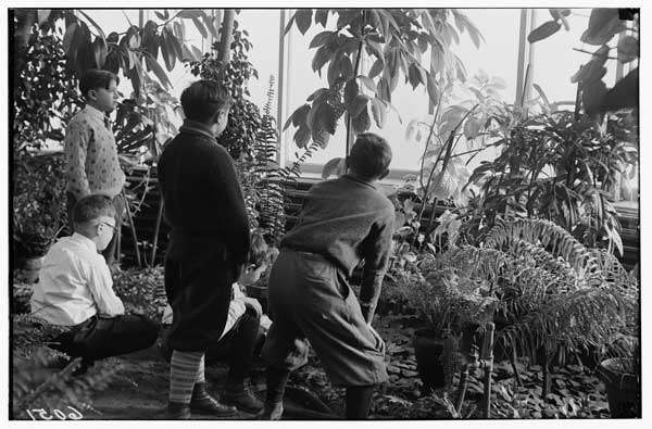 P.S.184- Four boys in Greenhouse.
Exploring expedition to foreign lands.