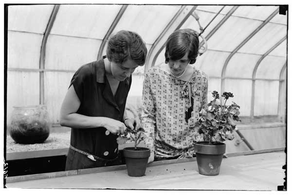 Shaping of plants.
Mrs. Bartlet and Miss Blankly, 1928.