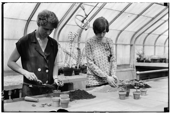 Potting young geranium plants, 1928.
Mrs. Bartlet and Miss Blankly.