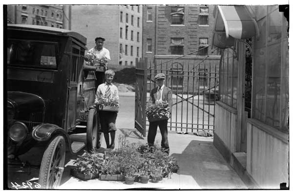 P.S. 89.  Plants raised by pupils, at BBG, being loaded for transportation to school, 1930.