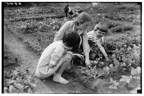 Children's Garden.  Thinning.  Miss Dorward in charge, 1930.