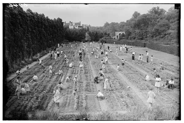 Children's Garden, general view, early summer, 1930.