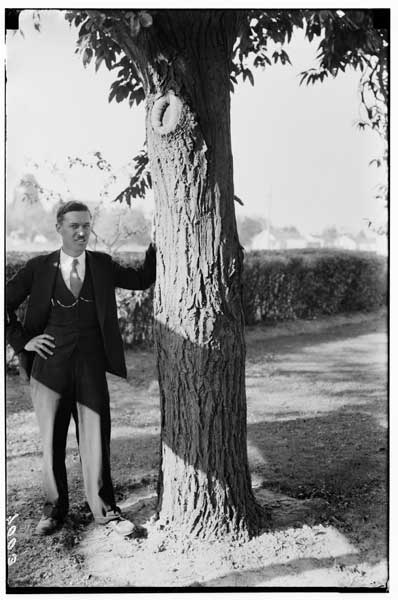 Castanea crenata.  Trunk of Jap. Giant Nut with L. Buhle standing, 1930.