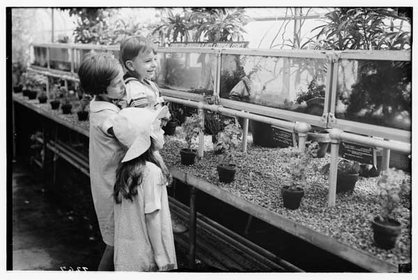 Aquaria.  Three children viewing the new (1931) in greenhouse.