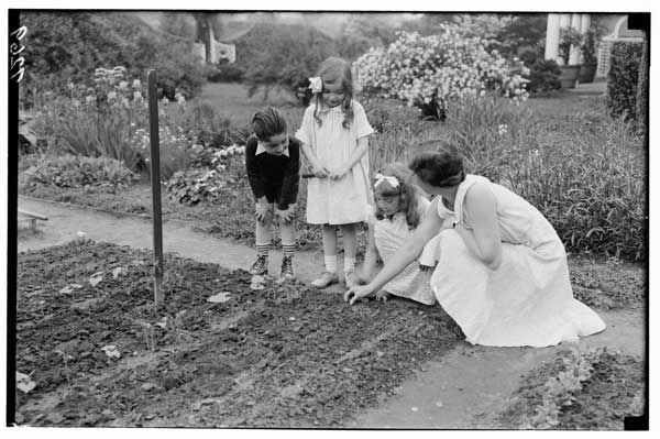Children's Garden.  Lesson in thinning, 1931.  Miss Miner.