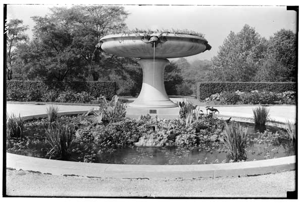 Fountain,  Jenkins.
Showing growth of aquatics, etc.  1931