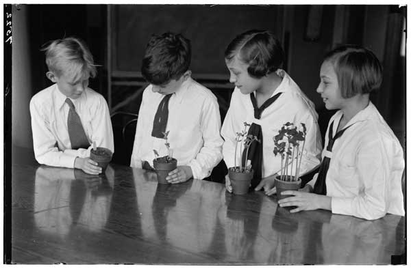 P.S. 206 - 5th Grade.
Bean seedling experiment B.B.G., 1932