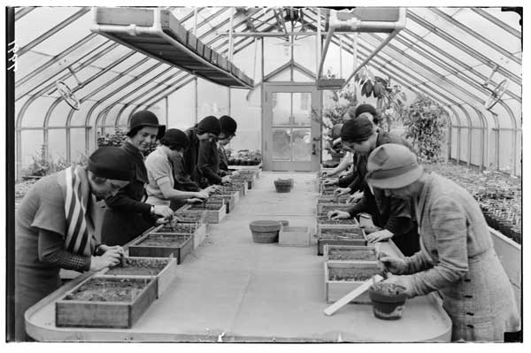 Greenhouse work. B.3.-Spring 1932.