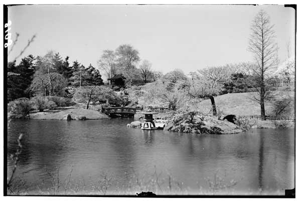 Japanese Garden:  View across lake from north of Tea House.