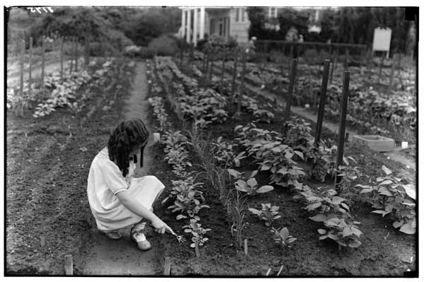 Children's Garden.
Hand cultivator in use by Liane Boskoff, 1932.