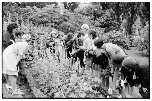 Children's Garden.
Formal Garden, 1932.