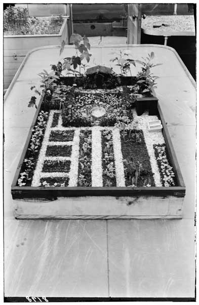 Exhibit.  Miniature garden, Bayshore, L.I., 1932.