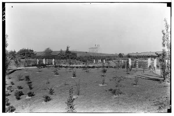 Horticultural Section:
View facing north-west.
BBG 1935.